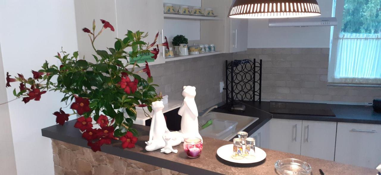 Raza Soarelui Apartament De Lux Sovata Extérieur photo