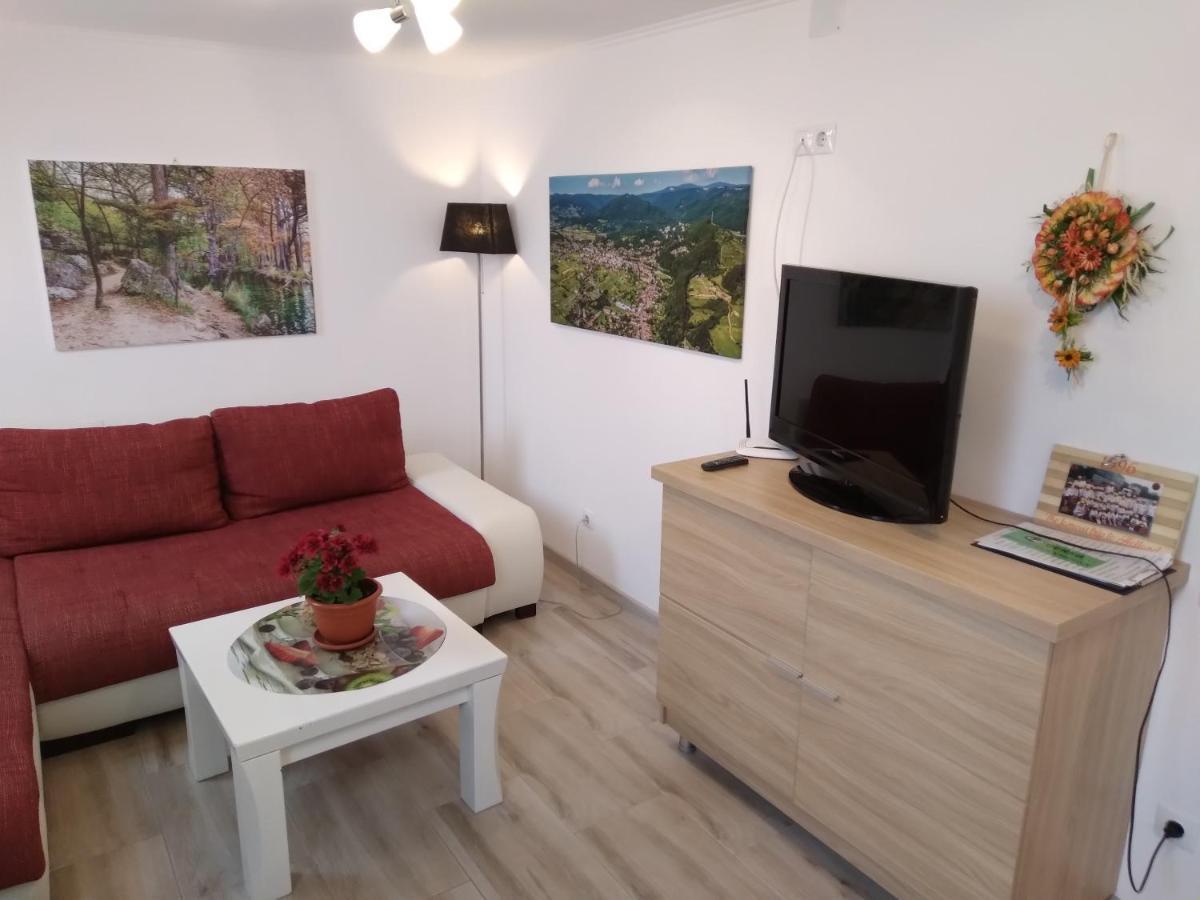 Raza Soarelui Apartament De Lux Sovata Extérieur photo